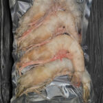 Langostino Gigante