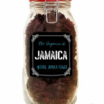Flor de Jamaica